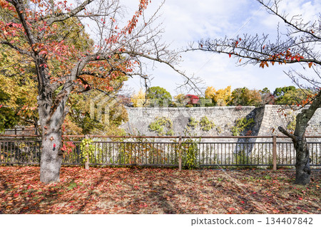 大阪城堡 134407842