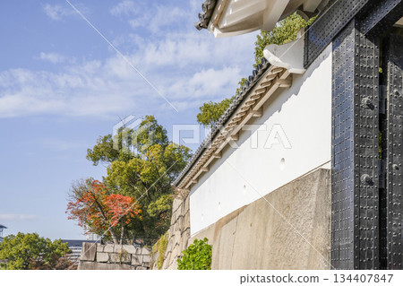 Osaka Castle Osaka Castle 134407847