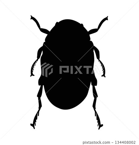 Beetle insect black silhouette graphic illustration vector. Minimalist bug icon design element for nature, biology or pest control concept. Hand drawn shape scarab beetle. May bug monochrome drawing. 134408002