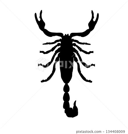 Scorpion black silhouette with body and pincers vector illustration. Graphic element for Scorpio zodiac sign or nature theme. Monochrome shape of a dangerous insect. 134408009