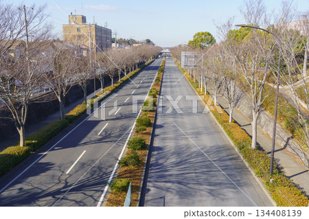 直路 | 千葉縣千葉市綠區鹽田町，近藤町線 134408139