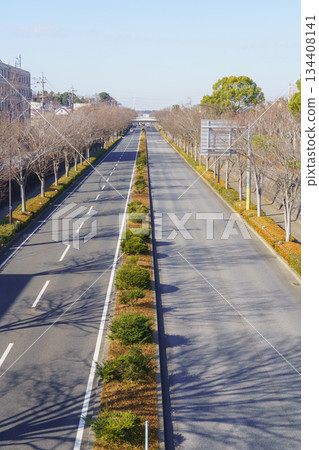 Straight road | Chiba Prefecture, Chiba City, Midori Ward, Shiotamachi Kondamachi Line Straight road | Chiba Prefecture, Chiba City, Midori Ward, Shiotamachi Kondamachi Line 134408141