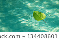 The concept of tranquility and change symbolized by ripples on the water surface and a single leaf 134408601