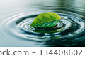 The concept of tranquility and change symbolized by ripples on the water surface and a single leaf 134408602