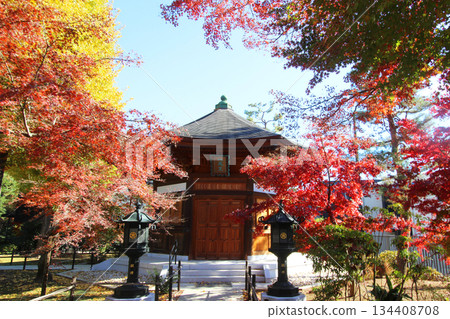 Autumn leaves of Gotokuji 134408708