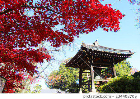 Gotokuji秋葉 134408709