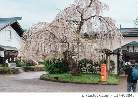Kakunodate Station in spring season. railway station in the city of Semboku, Akita Prefecture, Japan, operated by East Japan Railway Company, JR East. Semboku city, Akita Prefecture, 23 April 2025 Kakunodate Station in spring season. railway station in the city of Semboku, Akita Prefecture, Japan, operated by East Japan Railway Company, JR East. Semboku city, Akita Prefecture, 23 April 2025 134408843