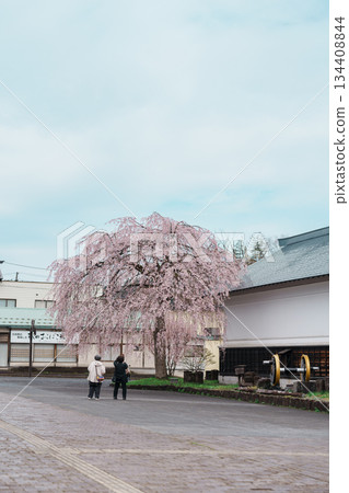 Kakunodate Station in spring season. railway station in the city of Semboku, Akita Prefecture, Japan, operated by East Japan Railway Company, JR East. Semboku city, Akita Prefecture, 23 April 2025 Kakunodate Station in spring season. railway station in the city of Semboku, Akita Prefecture, Japan, operated by East Japan Railway Company, JR East. Semboku city, Akita Prefecture, 23 April 2025 134408844