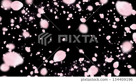 Cherry blossoms falling on a jet black background 134409196