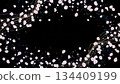 Cherry blossoms falling on a jet black background 134409199