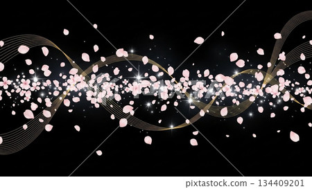 Cherry blossoms falling on a jet black background 134409201