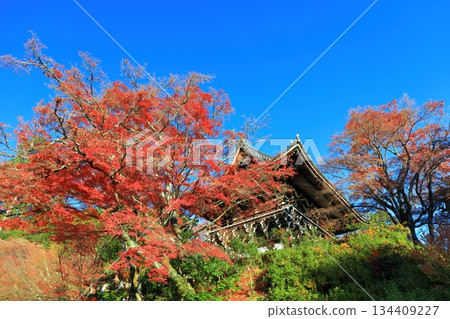 【京都府】晴朗天氣下的西山禪寶寺山門(樓門)與秋葉 【京都府】晴朗天氣下的西山禪寶寺山門(樓門)與秋葉 134409227