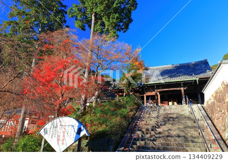 【京都府】晴朗天氣下的西山禪寶寺觀音堂（正殿）與秋葉 134409229