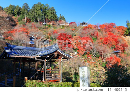 [Kyoto Prefecture] Nishiyama Zenpoji Temple and autumn leaves on a clear day (Hakusan Gongen) 134409243