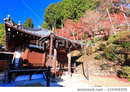 【京都府】晴天時，西山善保寺的阿彌陀堂和秋葉 134409309
