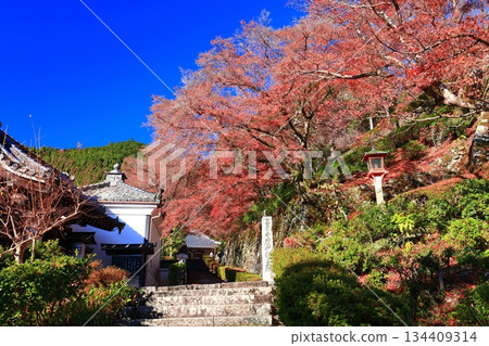 【京都府】晴天時，西山善保寺的阿彌陀堂和秋葉 134409314