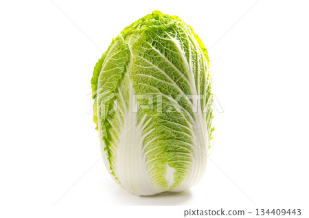 大白菜,一種日本冬季蔬菜 大白菜,一種日本冬季蔬菜 134409443