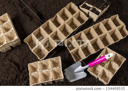 empty cardboard pots for seedlings scattered in a field with fertile brown soil, soil mixed with humus and peat, and paper disposable cups for seedlings in spring 134409535