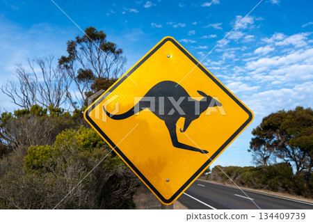 Kangaroo crossing warning sign along a rural road, Australia 134409739