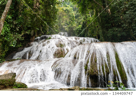 Saluopa waterfall in the tropical forest of Tentena, Sulawesi, Indonesia 134409747