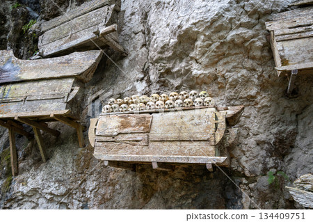 Toraja tombs and skulls in cave sanctuary, Sulawesi, Indonesia 134409751