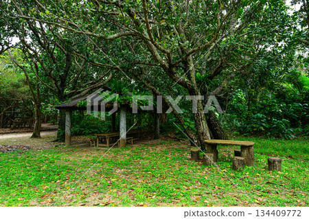 Tropical scenery: Yubu Island Tropical scenery: Yubu Island 134409772