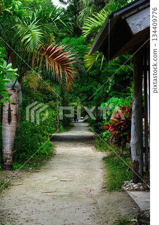 Tropical scenery: Yubu Island 134409776