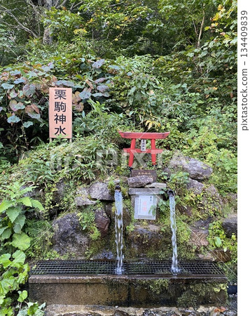 Kurikoma Shinkansen 134409839