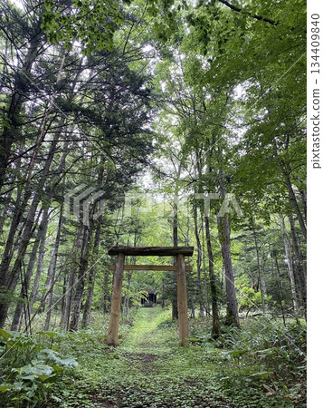 The approach and wooden torii gate of Tomimuraushi Shrine in Hokkaido 134409840