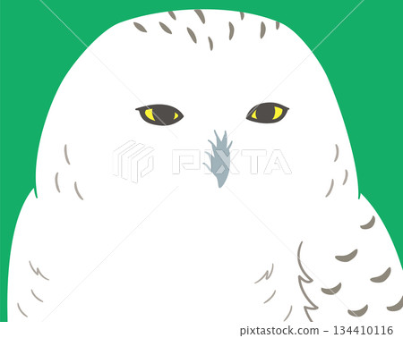 一隻睡眼惺忪的雪鴞的插畫素材 134410116