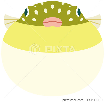 膨脹的河豚魚正面的插圖素材 134410119