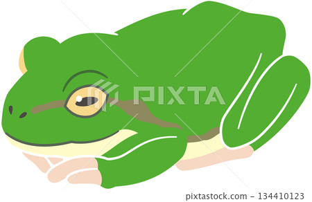 一隻青蛙在小房間休息的插畫素材 134410123