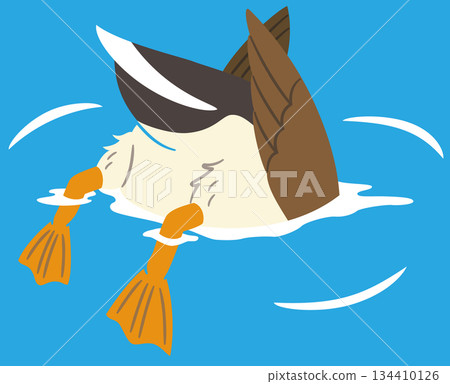 Wild ducks floating on the water in search of food - Illustration Wild ducks floating on the water in search of food - Illustration 134410126