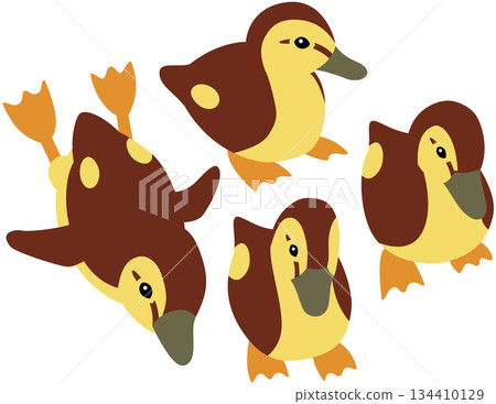 Wild bird ducklings illustration material Wild bird ducklings illustration material 134410129