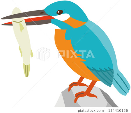 Illustration material of a wild bird kingfisher catching a fish Illustration material of a wild bird kingfisher catching a fish 134410136