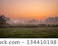 Landscape in the morning. Beautiful scenic view of a rice field farm in rural India. 134410198