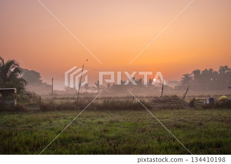 Landscape in the morning. Beautiful scenic view of a rice field farm in rural India. Landscape in the morning. Beautiful scenic view of a rice field farm in rural India. 134410198
