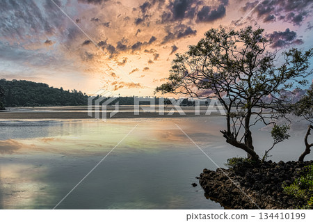 Lonely Tree at the sea shore during sunset. Sunset sea beach, sunrise tropical island Lonely Tree at the sea shore during sunset. Sunset sea beach, sunrise tropical island 134410199