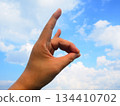 藍天和狐狸手勢 134410702