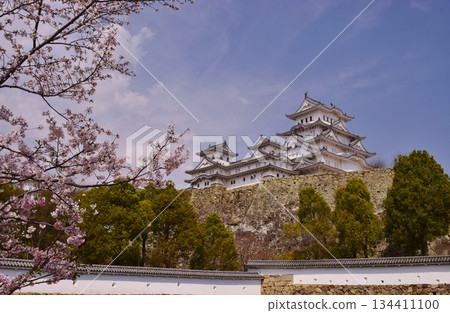 Himeji Castle surrounded by cherry blossoms in full bloom Himeji Castle surrounded by cherry blossoms in full bloom 134411100