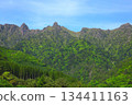 Fresh greenery of the Sobo Mountains (Bungo-Ono City, Oita Prefecture) 134411163