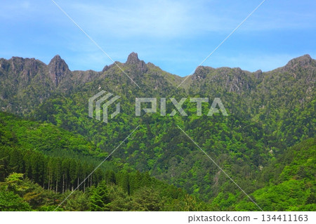 Fresh greenery of the Sobo Mountains (Bungo-Ono City, Oita Prefecture) Fresh greenery of the Sobo Mountains (Bungo-Ono City, Oita Prefecture) 134411163