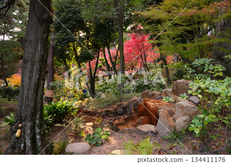 Hiroshima Shukkeien Hiroshima Shukkeien 134411176