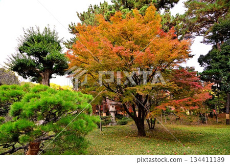 廣島淑景園 廣島淑景園 134411189