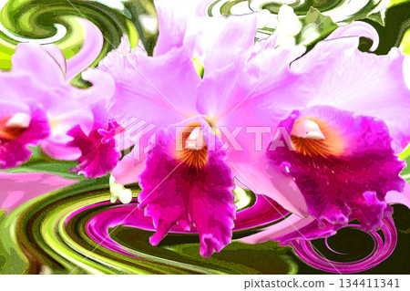 A soothing window where orchids bloom A soothing window where orchids bloom 134411341
