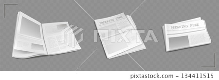 Professional newspaper template with layout 134411515