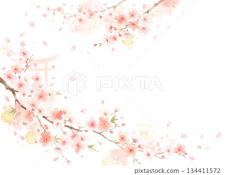 每年都能看到盛開的櫻花，百看不厭。 134411572