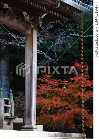 Autumn leaves at Banshu Kiyomizu-dera Temple in Kato City, Hyogo Prefecture Autumn leaves at Banshu Kiyomizu-dera Temple in Kato City, Hyogo Prefecture 134411947