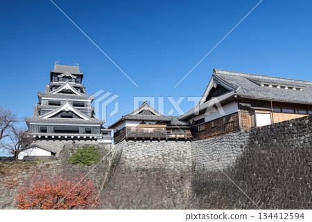 熊本城：從南門特設觀景台望去，可以看到兩座石砌本丸宮殿和天守閣。 134412594