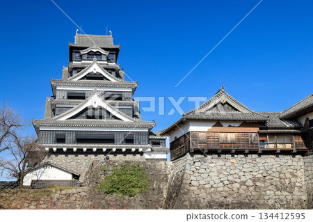 熊本城:從南門特設觀景台望去,可以看到兩座石砌本丸宮殿和天守閣。 熊本城:從南門特設觀景台望去,可以看到兩座石砌本丸宮殿和天守閣。 134412595